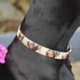 Black dog wearing a handmade BioThane collar with printed dog breed designs and cream trim.