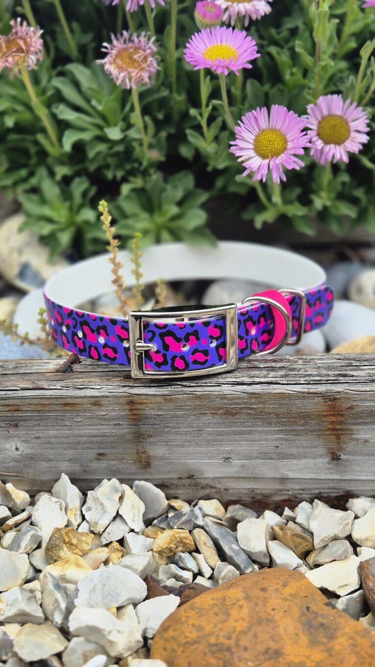 Vibrant neon pink leopard print BioThane dog collar displayed on weathered wood with blooming daisies behind.