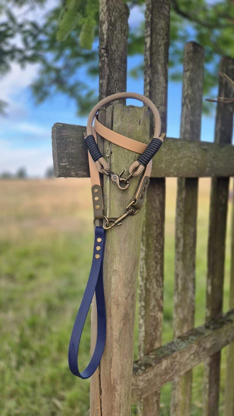 Handmade BioThane lead attached to wooden fence post in countryside setting.