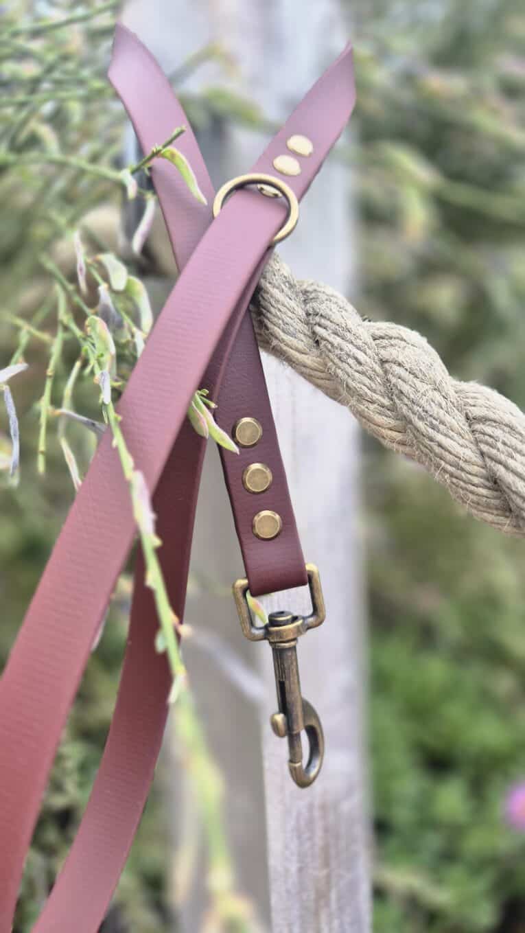 Pink and burgundy handmade BioThane dog collar with brass fittings and rope lead attachment.