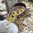 BioThane half check dog collar with solid brass chain and brown hardware, displayed in a garden setting.