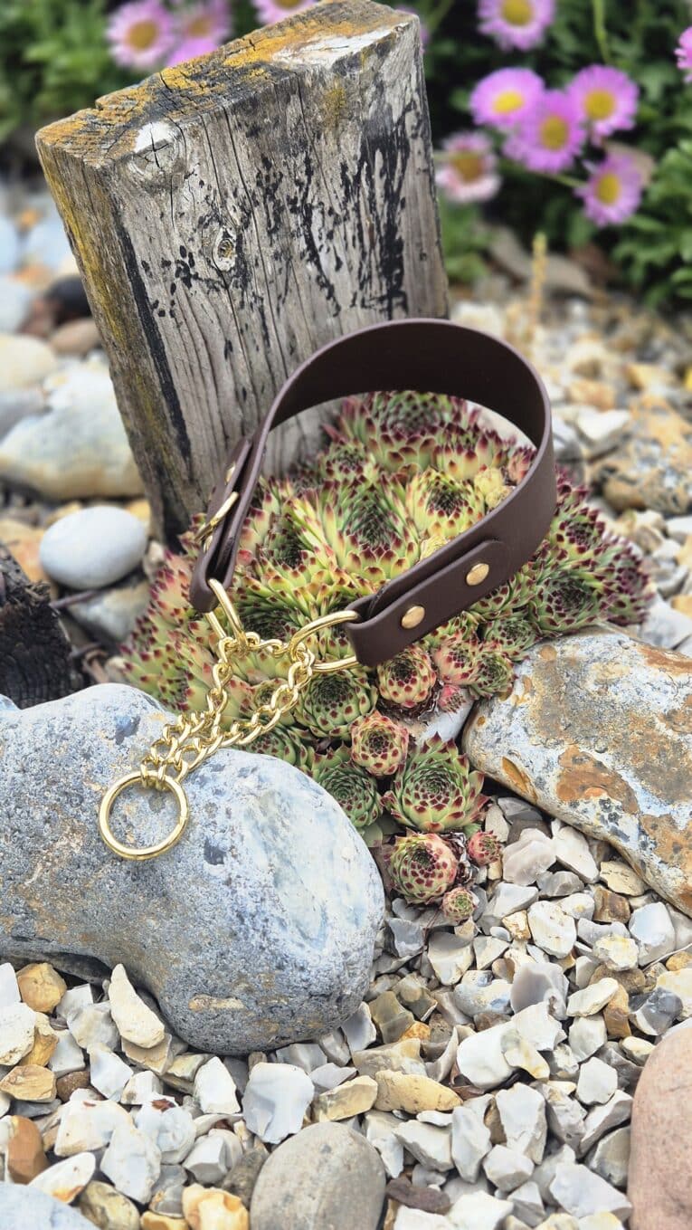 BioThane half check dog collar with solid brass chain and brown hardware, displayed in a garden setting.