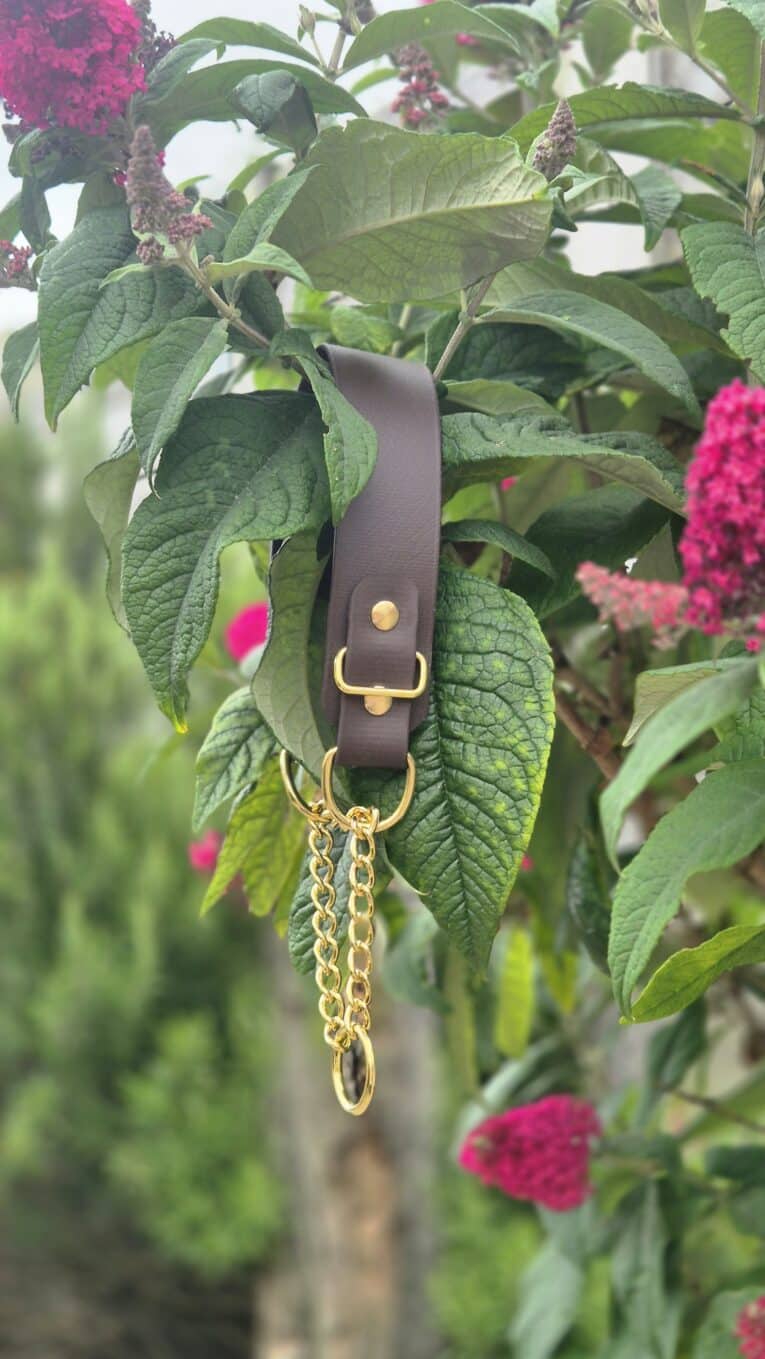 Brown BioThane martingale collar with solid brass chain and hardware, displayed amongst flowering shrubs.