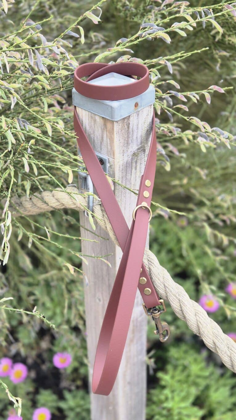 Burgundy BioThane dog collar with leather-look handle, displayed on wooden garden post surrounded by foliage.