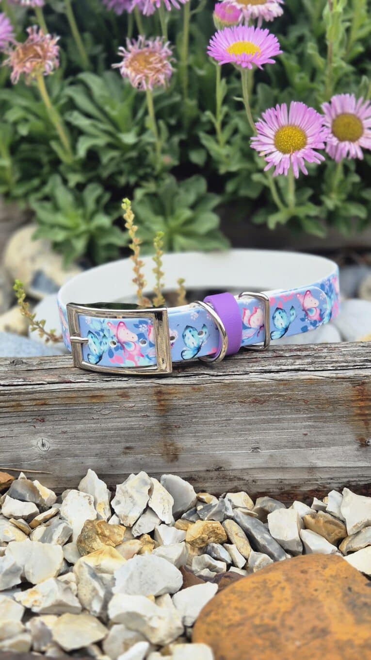 Handmade BioThane dog collar with butterfly print design, featuring purple hardware and silver buckle, displayed on weathered wood.