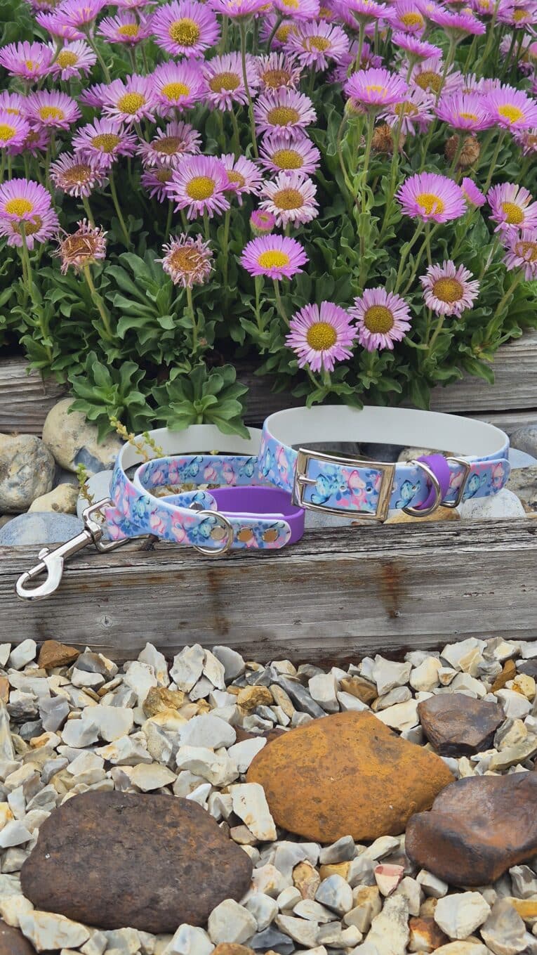 Handmade BioThane dog collars and lead set in purple butterfly print with matching hardware, displayed against pink daisies.