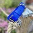blue handmade BioThane dog collar with brass fittings, displayed on a wooden post in a garden setting.