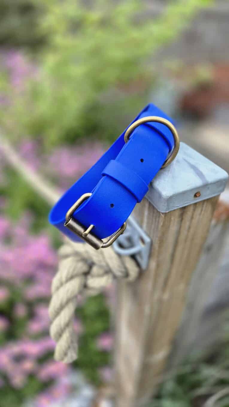 blue handmade BioThane dog collar with brass fittings, displayed on a wooden post in a garden setting.