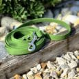 Bright green handmade BioThane dog lead coiled on weathered wood with wildflowers and gravel nearby.