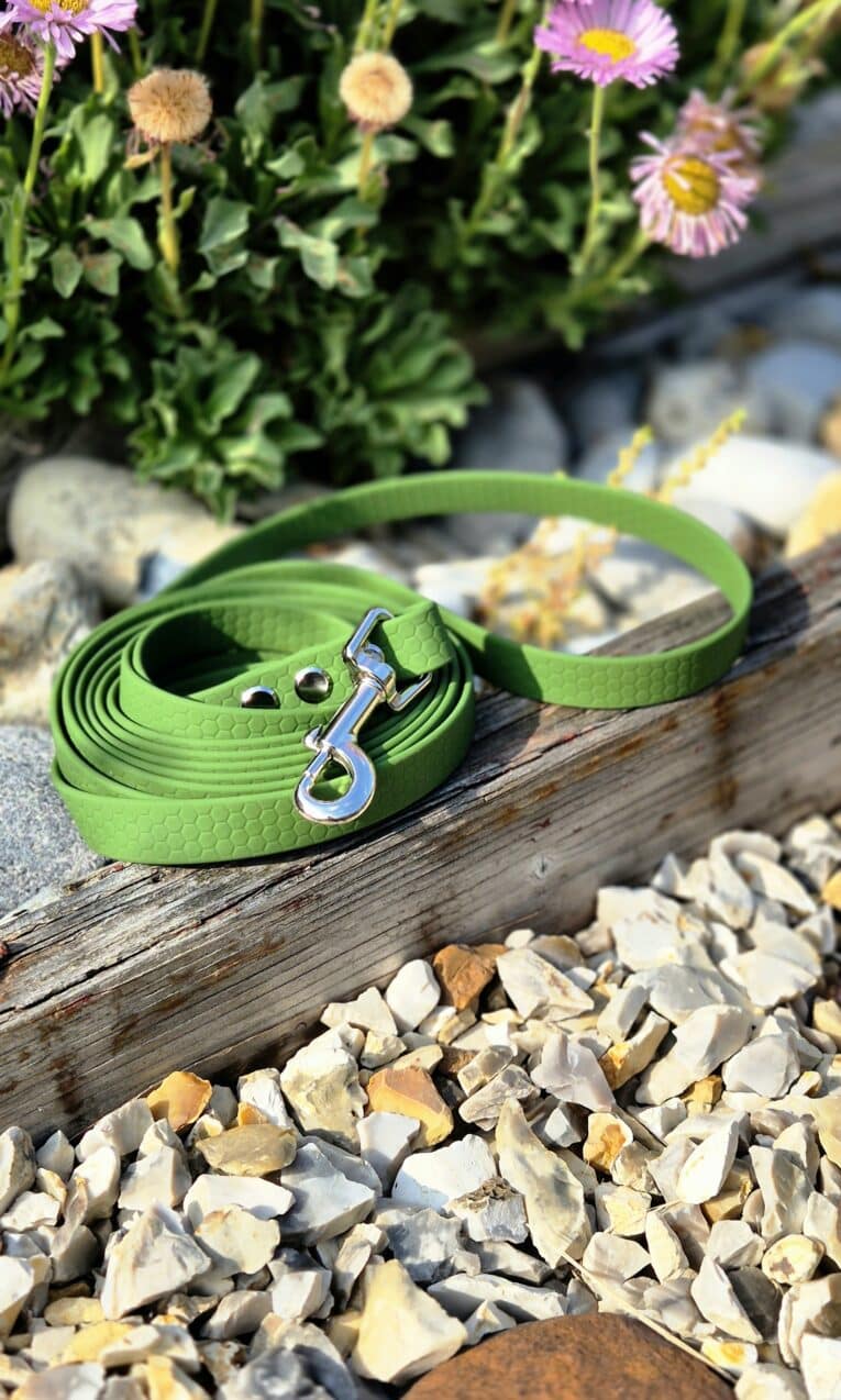 Bright green handmade BioThane dog lead coiled on weathered wood with wildflowers and gravel nearby.