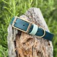 Green waterproof BioThane dog collar with brass buckle and D-ring, displayed on weathered wood.