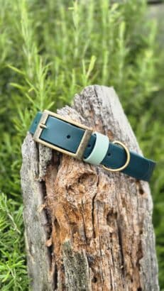 Evergreen Collar