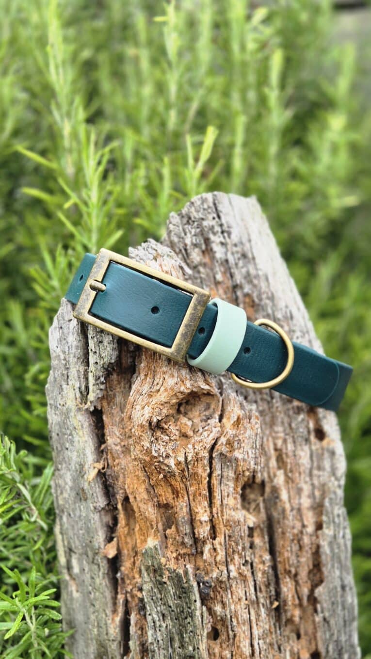 Green waterproof BioThane dog collar with brass buckle and D-ring, displayed on weathered wood.