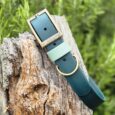 Teal waterproof handmade BioThane dog collar with mint green accent and brass hardware on weathered wood.