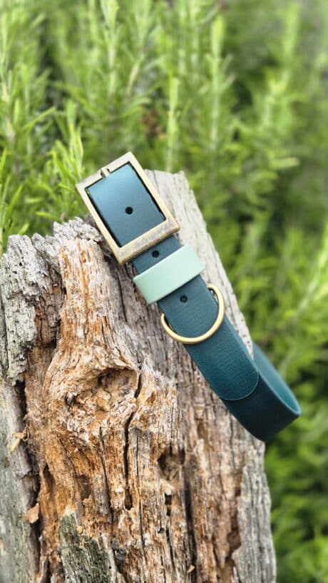 Teal waterproof handmade BioThane dog collar with mint green accent and brass hardware on weathered wood.