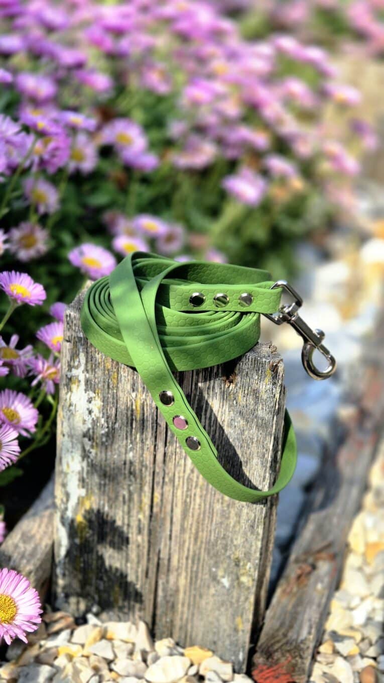 Bright lime-green handmade BioThane dog collar with metal hardware, draped on weathered wood post beside purple flowers.
