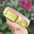 Pale yellow handmade BioThane dog collar with brass buckle, held against blooming pink flowers.