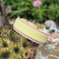 Pastel yellow and pink handmade BioThane dog collar displayed on a succulent plant in a garden setting.