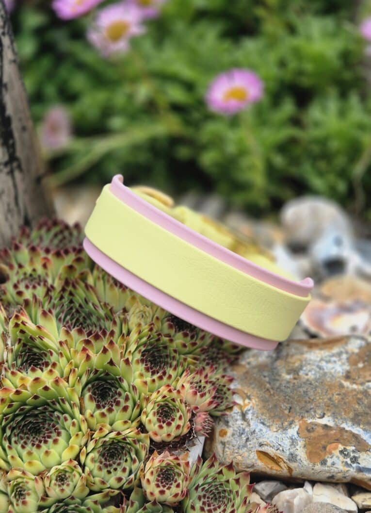 Pastel yellow and pink handmade BioThane dog collar displayed on a succulent plant in a garden setting.