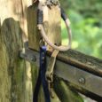 Handmade paracord dog collar and biothane lead in navy and tan, displayed on rustic wooden fence in countryside setting.