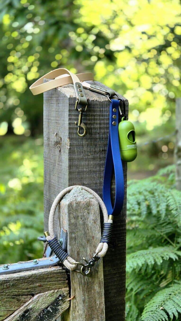 Blue BioThane dog lead and green waste bag dispenser attached to wooden post in garden setting.