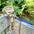 Handmade paracord dog collar and biothane lead displayed on wooden fence with lush greenery backdrop.