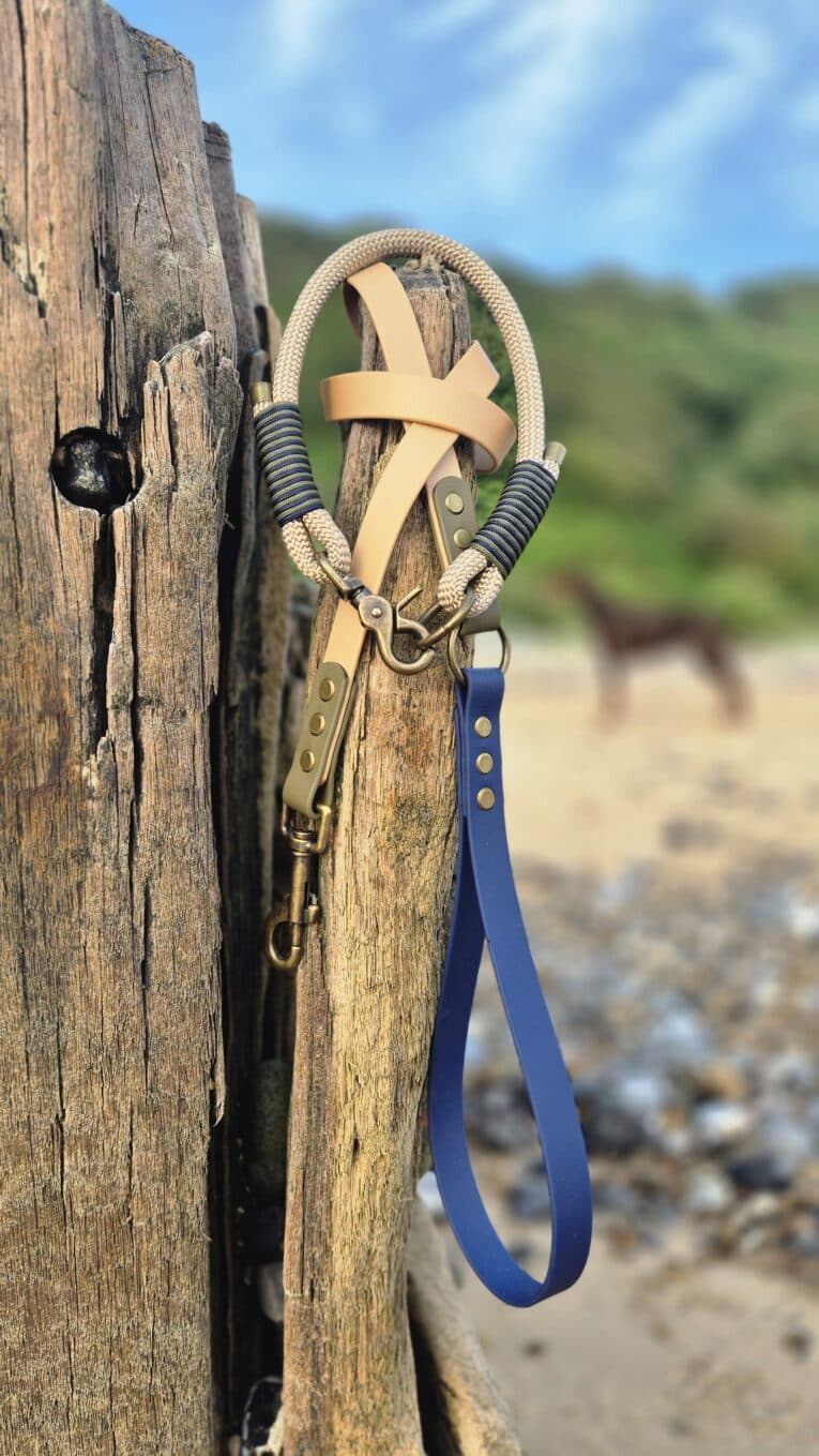 Handmade paracod dog collar and biothane lead set displayed on weathered wood by coastal beach.