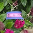 Pink nameplate engraved with 'GLITCH' on a blue and pink handmade BioThane dog collar among pink flowers.