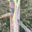 Pastel yellow ribbon attached to wooden post with floral patterned BioThane dog collar detail, garden setting.