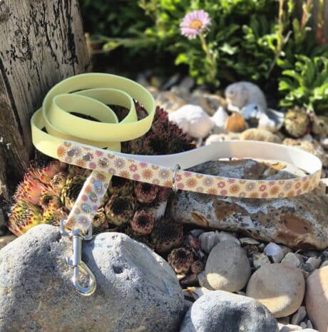 Pastel-coloured handmade BioThane dog collar with floral pattern, displayed in a sun-dappled garden setting among succulents and stones.
