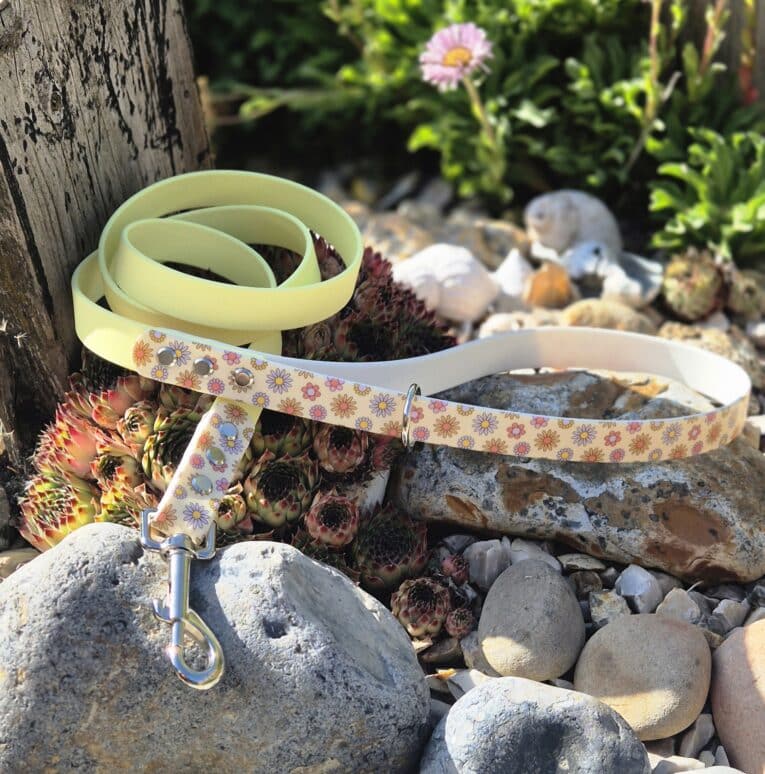 Pastel-coloured handmade BioThane dog collar with floral pattern, displayed in a sun-dappled garden setting among succulents and stones.