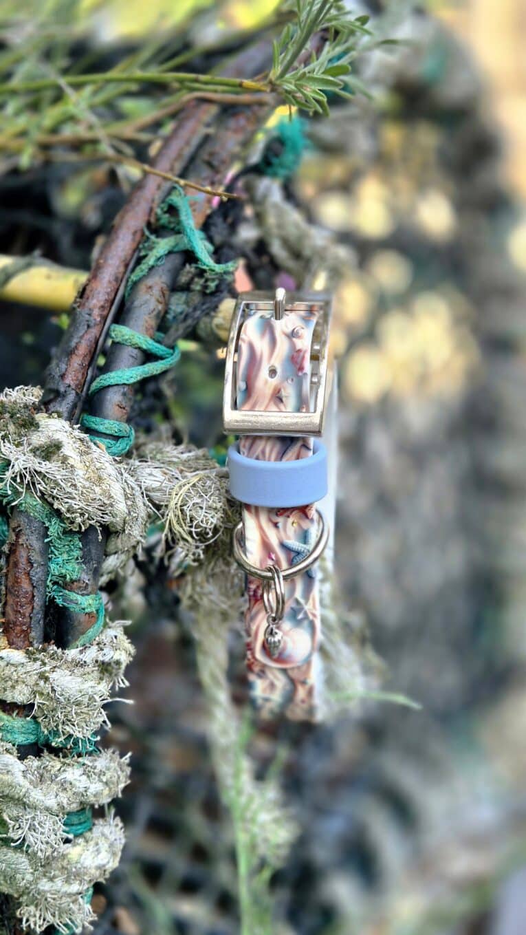 Handmade BioThane dog collar with seashell design, blue band and metal hardware, displayed on moss-covered branch.
