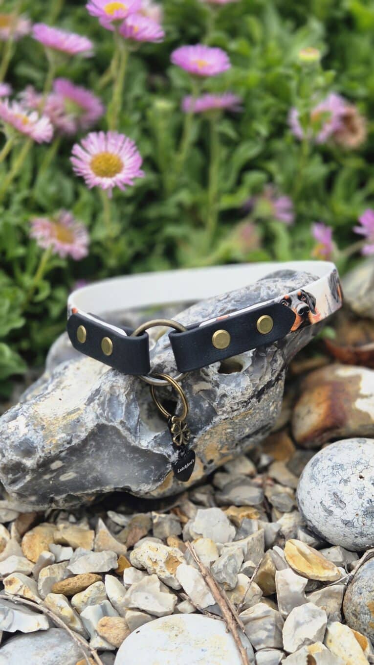 Black handmade BioThane dog collar with brass fittings displayed on rocks against purple flowers.
