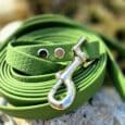 Bright green waterproof BioThane dog lead coiled on stone, featuring silver carabiner clip and stud fastenings.