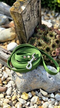 Bright green waterproof BioThane dog lead coiled on a stone, displaying metal hardware and textured surface detail outdoors.