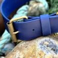 Navy blue handmade BioThane dog collar with brass hardware, displayed on a mossy stone outdoors.