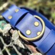 Bright blue handmade BioThane dog collar with brass fittings and matching lead tab, displayed outdoors.