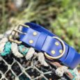 Bright blue handmade BioThane dog collar with brass fittings and studs, displayed on weathered rope.
