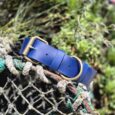 Vibrant blue handmade BioThane dog collar with brass fittings, displayed on weathered netting in a garden setting.