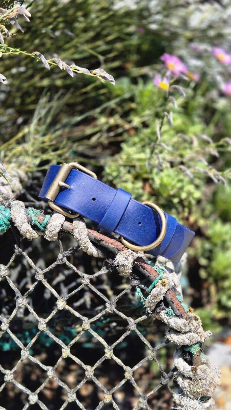 Vibrant blue handmade BioThane dog collar with brass fittings, displayed on weathered netting in a garden setting.
