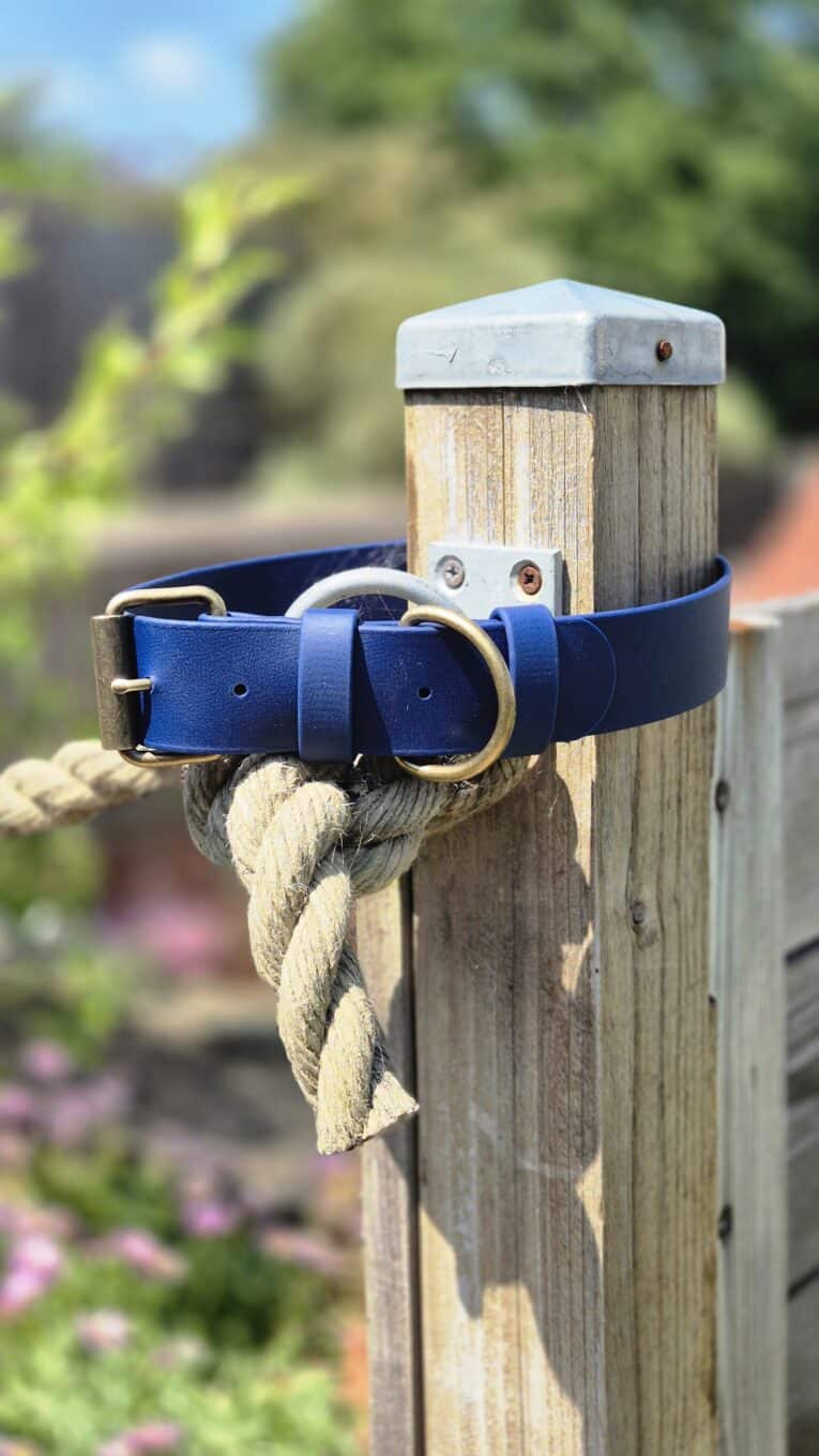 Blue BioThane dog collar with brass hardware displayed on wooden post in garden setting.