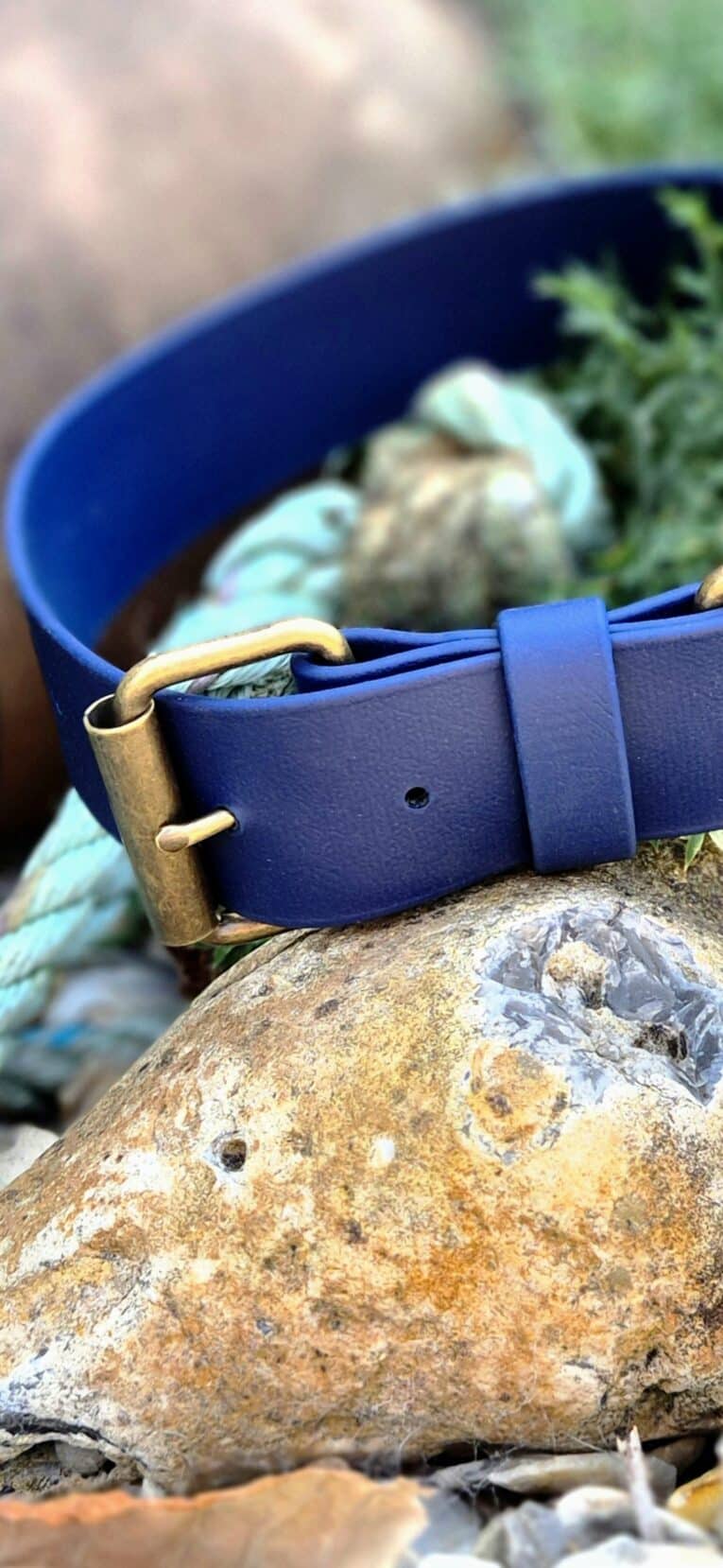 Navy blue handmade BioThane dog collar with brass hardware, displayed on a mossy stone outdoors.