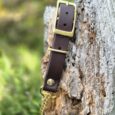 Adjustable dark brown BioThane dog collar with brass buckle and fittings, displayed on weathered wood.