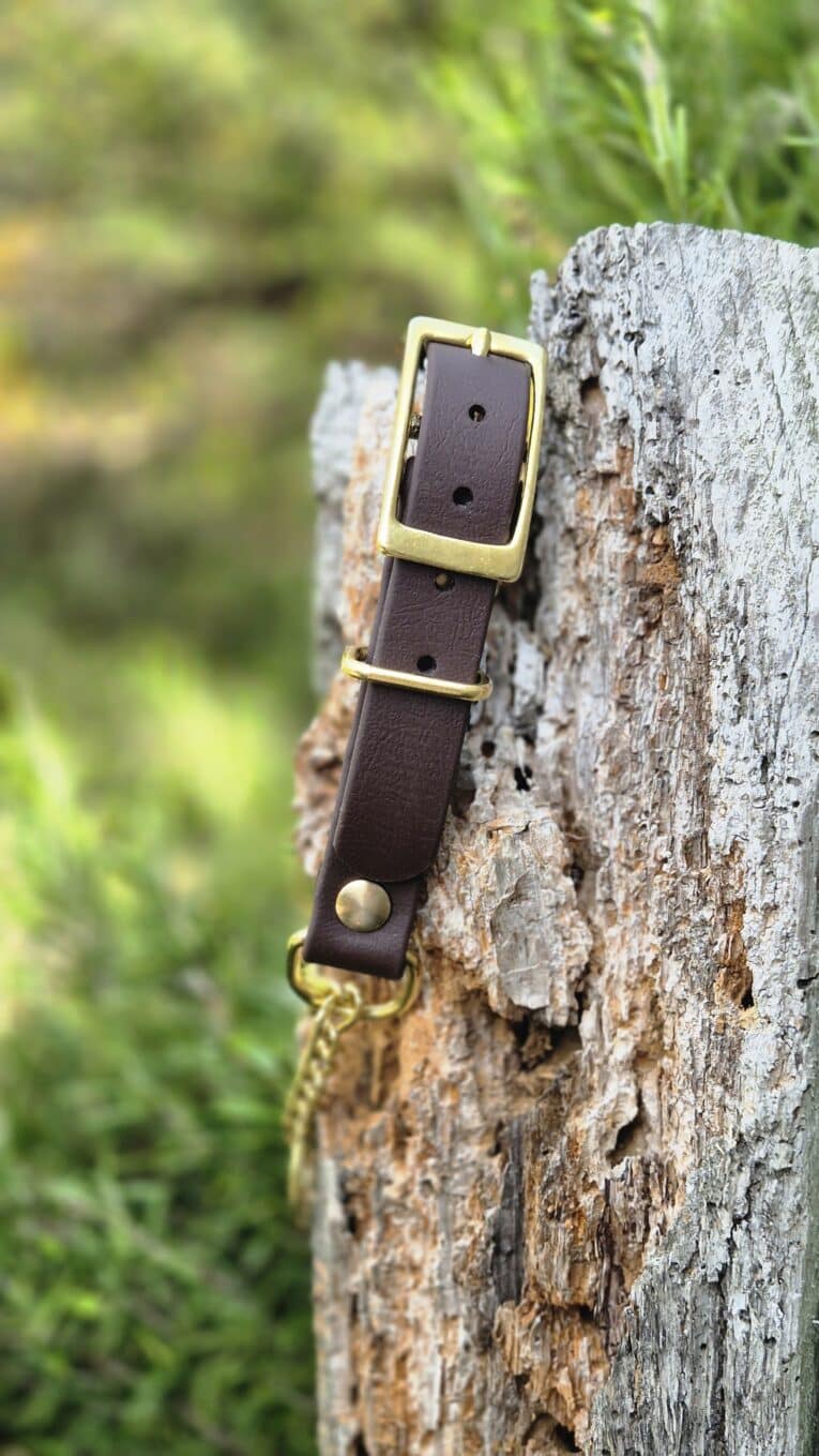 Adjustable dark brown BioThane dog collar with brass buckle and fittings, displayed on weathered wood.