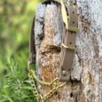 Adjustable brown BioThane dog collar with brass buckle and chain lead, displayed on weathered wood.