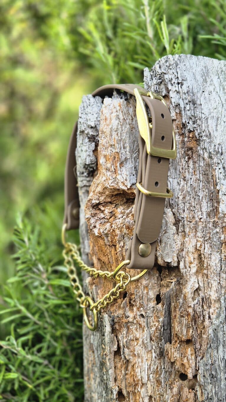 Adjustable brown BioThane dog collar with brass buckle and chain lead, displayed on weathered wood.