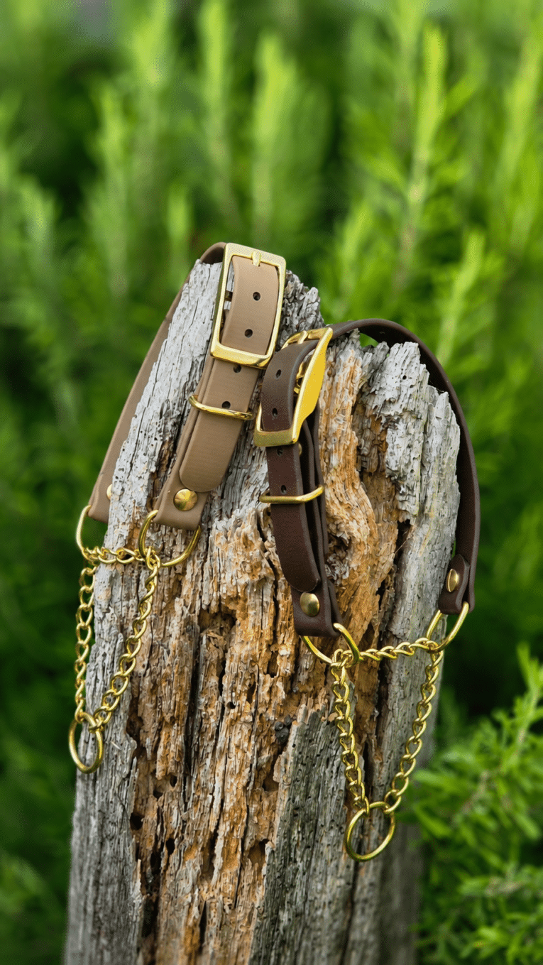 Two adjustable BioThane dog collars with brass buckles and chain leads displayed on weathered wood.