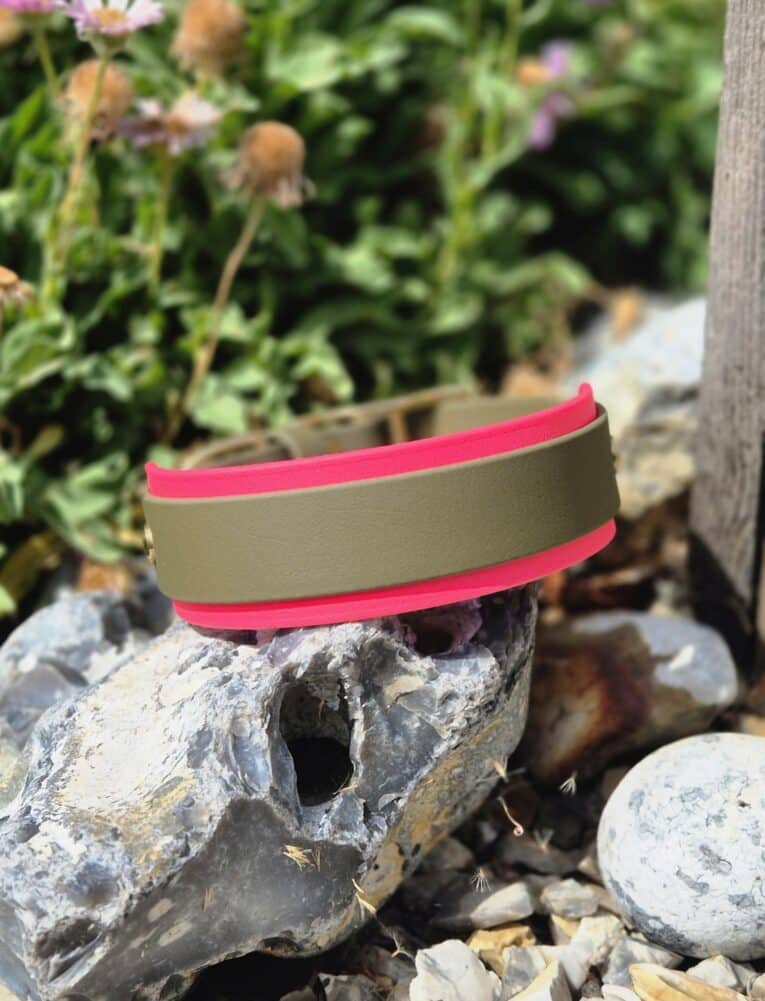 Pink and khaki handmade BioThane hound collar displayed on weathered stone in a garden setting.