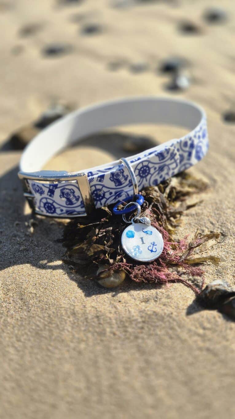 Tails of the Coast BioThane collar and matching tag on sand, featuring blue and white nautical patterns.