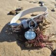 Coastal-printed BioThane collar with matching personalised resin tag on sandy beach amongst seaweed and pebbles.